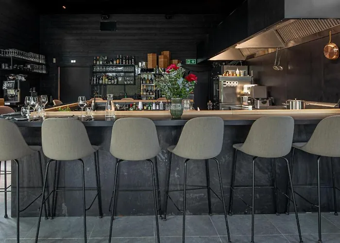 Ξενοδοχείο The Baroe Inkoo